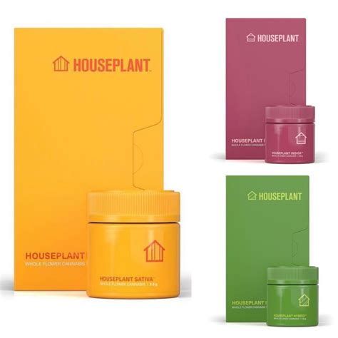 houseplant cannabis website.
